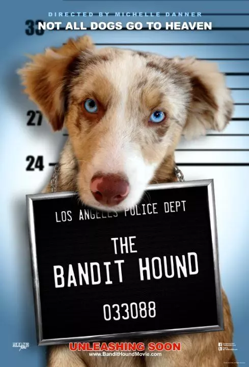 Пёс Бандит / The Bandit Hound 2016 скачать через торрент в хорошем качестве
