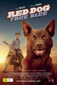 Рыжий пес: Самый верный / Red Dog: True Blue 2016 скачать через торрент в хорошем качестве
