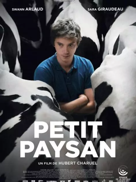 Мелкий фермер / Petit paysan 2017 скачать через торрент в хорошем качестве