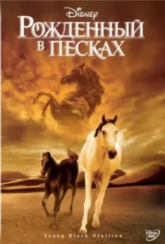Рожденный в песках / Young Black Stallion 2003 скачать через торрент в хорошем качестве