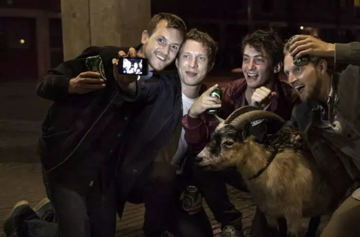 Проникая в кровь 2016 скачать через торрент бесплатно Проникая в кровь 2016 скачать через торрент бесплатно