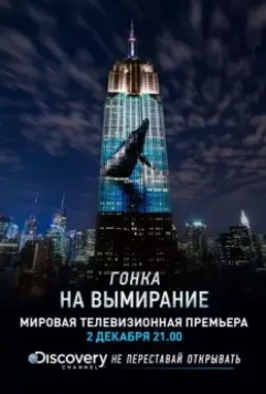 Гонка на вымирание / Racing Extinction 2015 скачать через торрент в хорошем качестве