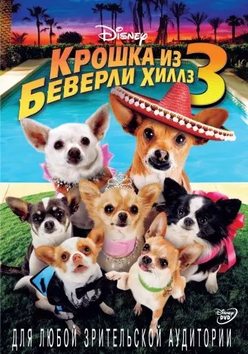 Крошка из Беверли-Хиллз 3 / Beverly Hills Chihuahua 3: Viva La Fiesta! 2012 скачать через торрент в хорошем качестве