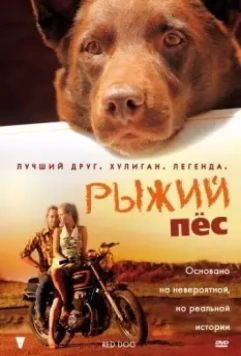 Рыжий пес / Red Dog 2011 скачать через торрент в хорошем качестве