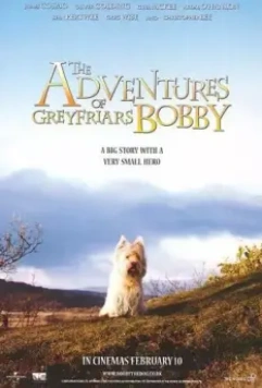 Малыш Бобби / The Adventures of Greyfriars Bobby 2005 скачать через торрент в хорошем качестве