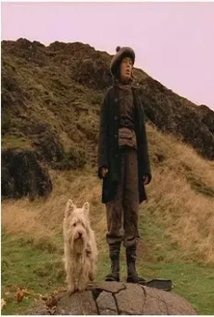 Малыш Бобби 2005 скачать через торрент бесплатно Малыш Бобби 2005 скачать через торрент бесплатно