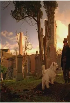 Малыш Бобби 2005 скачать торрентом Малыш Бобби 2005 скачать торрентом