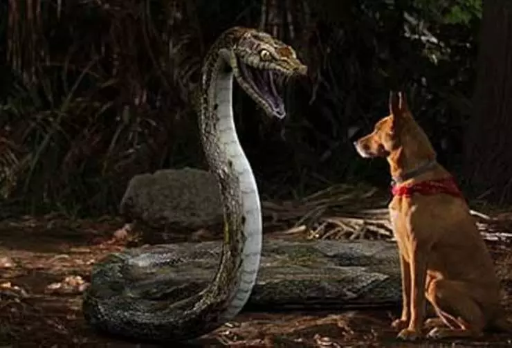 Возвращение титанов 2011 скачать через торрент бесплатно Возвращение титанов 2011 скачать через торрент бесплатно