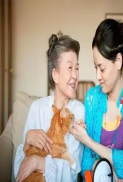 Кошка напрокат 2012 скачать через торрент бесплатно Кошка напрокат 2012 скачать через торрент бесплатно