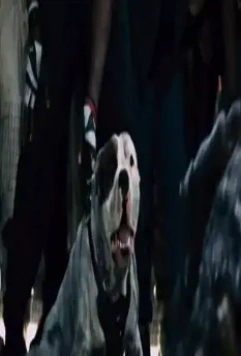 Монстры 2: Тёмный континент 2014 скачать с торрента Монстры 2: Тёмный континент 2014 скачать с торрента