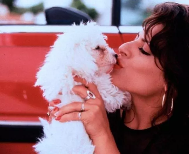 Золотые яйца 1993 скачать через торрент бесплатно Золотые яйца 1993 скачать через торрент бесплатно