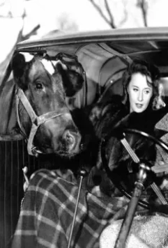 Запомни ночь 1940 скачать с торрента Запомни ночь 1940 скачать с торрента