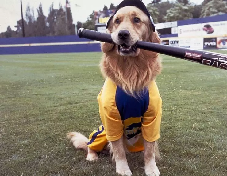 Король воздуха: Седьмая подача 2002 скачать торрентом Король воздуха: Седьмая подача 2002 скачать торрентом