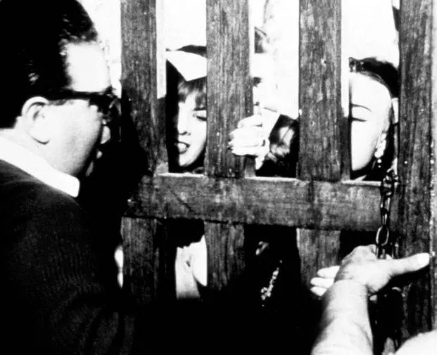 Ночи Кабирии 1957 скачать с торрента Ночи Кабирии 1957 скачать с торрента