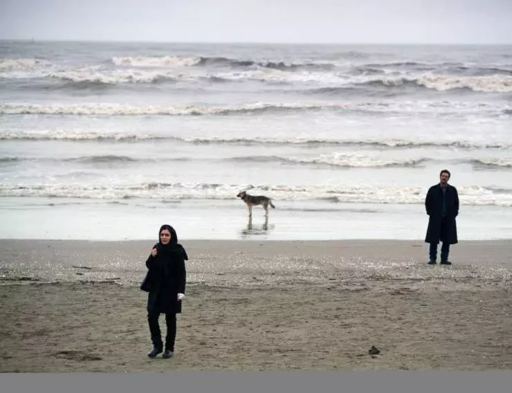 Нахид 2015 скачать с торрента Нахид 2015 скачать с торрента