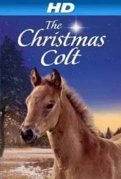 Рождественский жеребёнок / The Christmas Colt 2013 скачать через торрент в хорошем качестве