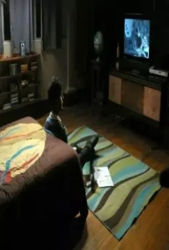 Я, счастье этого мира 2014 скачать через торрент бесплатно Я, счастье этого мира 2014 скачать через торрент бесплатно