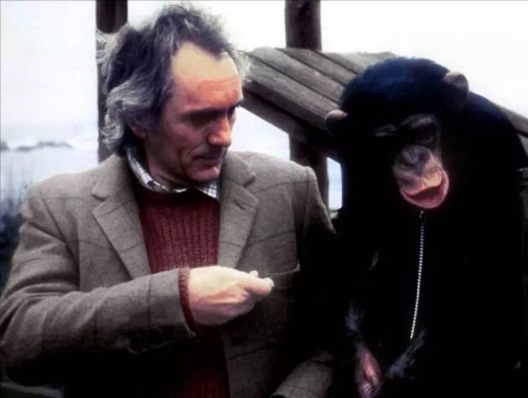 Линк 1986 скачать торрентом Линк 1986 скачать торрентом