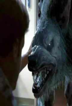 Боевые псы 2013 скачать с торрента Боевые псы 2013 скачать с торрента