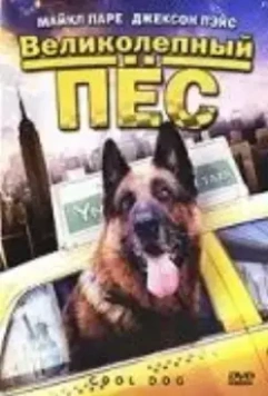 Великолепный пес / Cool Dog 2010 скачать через торрент в хорошем качестве