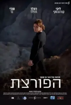 Взломщица / The Burglar 2016 скачать через торрент в хорошем качестве