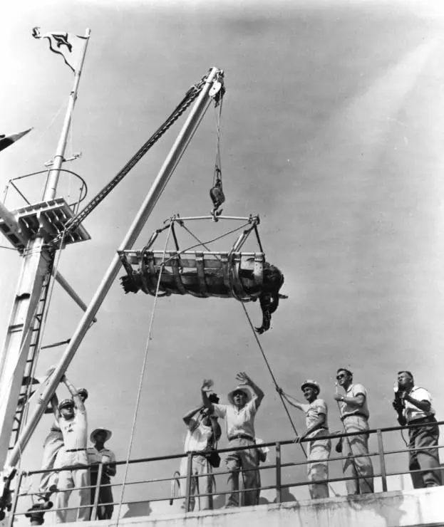 Месть Твари 1955 скачать через торрент бесплатно Месть Твари 1955 скачать через торрент бесплатно