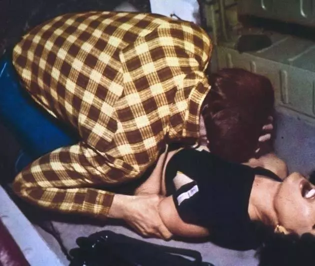 Как бешеные псы 1976 скачать с торрента Как бешеные псы 1976 скачать с торрента