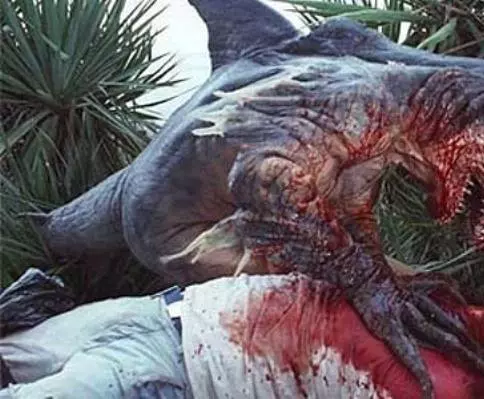 Человек-акула 2005 скачать с торрента Человек-акула 2005 скачать с торрента