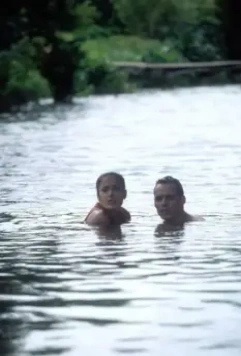 Времена бабочек 2001 скачать торрентом Времена бабочек 2001 скачать торрентом