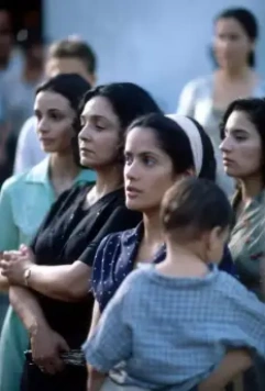 Времена бабочек 2001 скачать через торрент бесплатно Времена бабочек 2001 скачать через торрент бесплатно