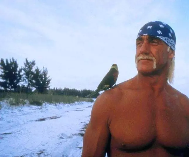 Остров МакКинси 1998 скачать с торрента Остров МакКинси 1998 скачать с торрента