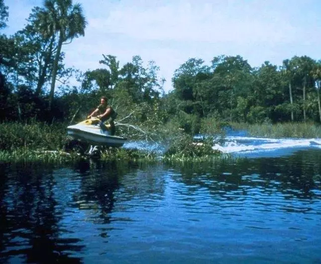 Остров МакКинси 1998 скачать через торрент бесплатно Остров МакКинси 1998 скачать через торрент бесплатно