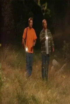 Ночные небеса 2007 скачать торрентом Ночные небеса 2007 скачать торрентом