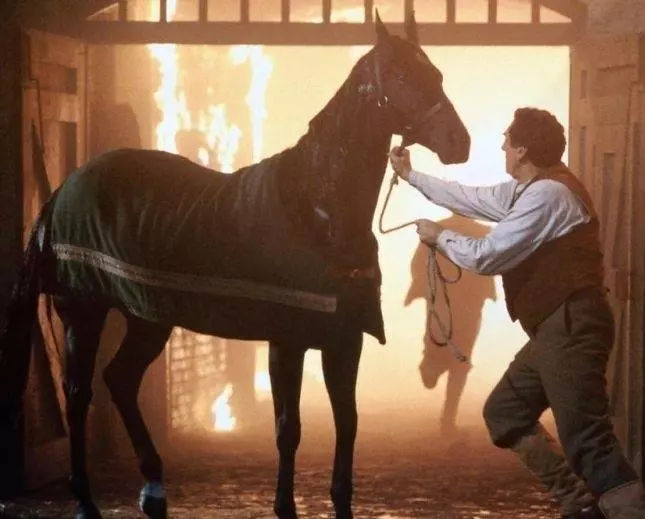 Черный красавец 1994 скачать через торрент бесплатно Черный красавец 1994 скачать через торрент бесплатно