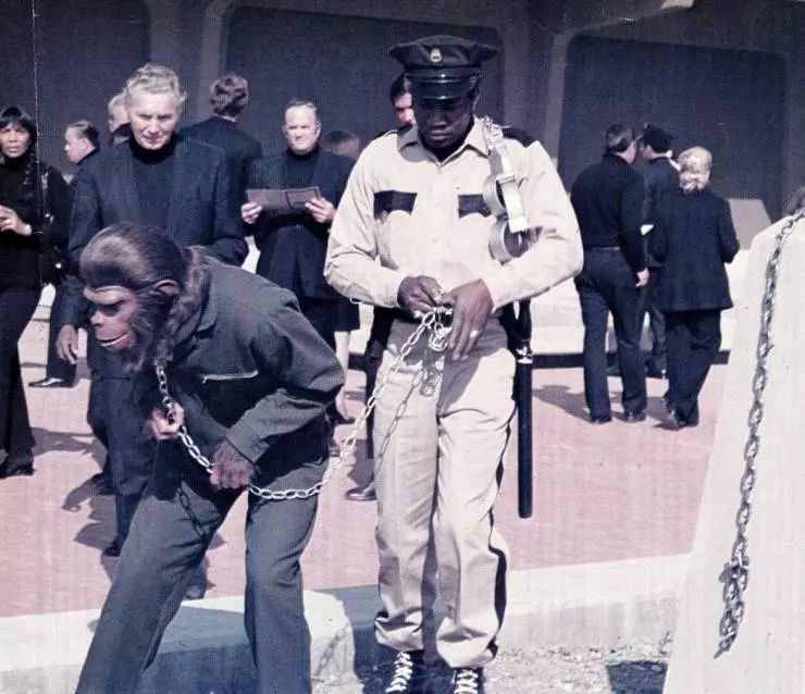 Завоевание планеты обезьян 1972 скачать через торрент бесплатно Завоевание планеты обезьян 1972 скачать через торрент бесплатно