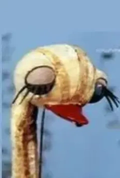 Мой брат страусенок 1971 скачать через торрент в хорошем качестве