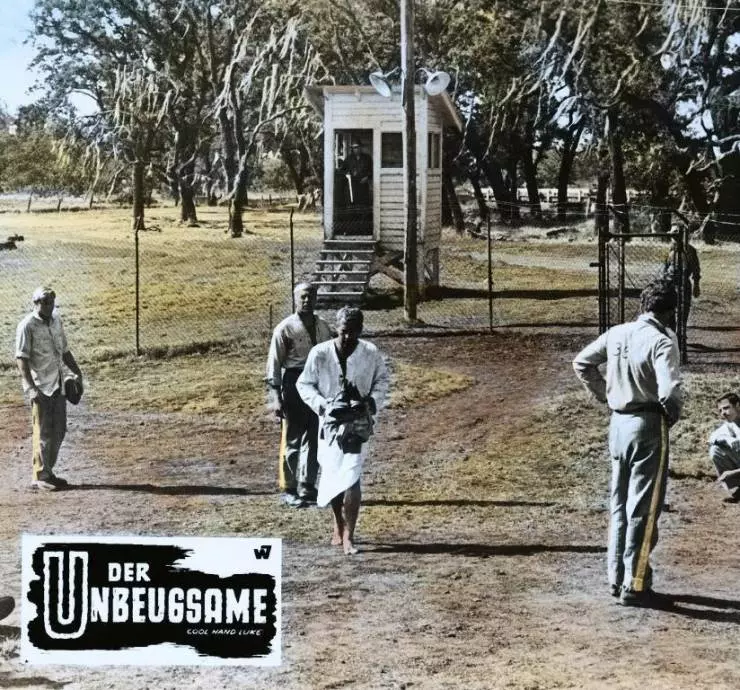 Хладнокровный Люк 1967 скачать торрентом Хладнокровный Люк 1967 скачать торрентом