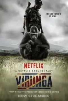 Вирунга / Virunga 2014 скачать через торрент в хорошем качестве