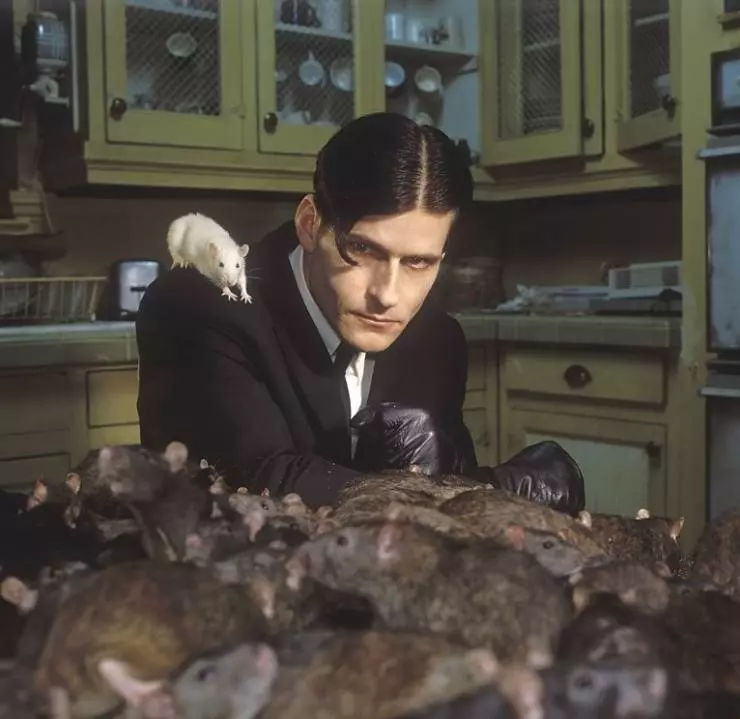 Уиллард 2003 скачать с торрента Уиллард 2003 скачать с торрента