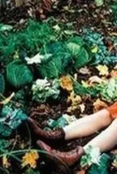 Биби – маленькая волшебница 2002 скачать с торрента Биби – маленькая волшебница 2002 скачать с торрента