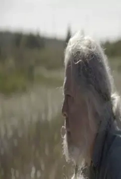 Серп 2017 скачать с торрента Серп 2017 скачать с торрента