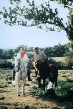 Слезы под дождем 1988 скачать через торрент бесплатно Слезы под дождем 1988 скачать через торрент бесплатно