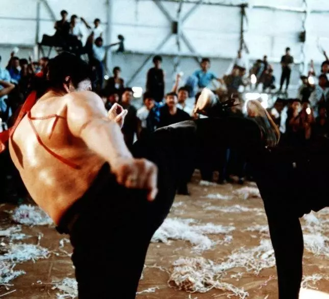 Леди дракон 1992 скачать с торрента Леди дракон 1992 скачать с торрента