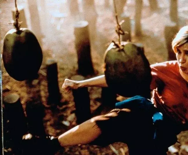 Леди дракон 1992 скачать через торрент бесплатно Леди дракон 1992 скачать через торрент бесплатно