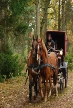 Масакра 2010 скачать через торрент бесплатно Масакра 2010 скачать через торрент бесплатно