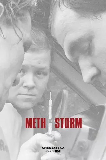 Метамфетаминовый шторм / Meth Storm 2017 скачать через торрент в хорошем качестве