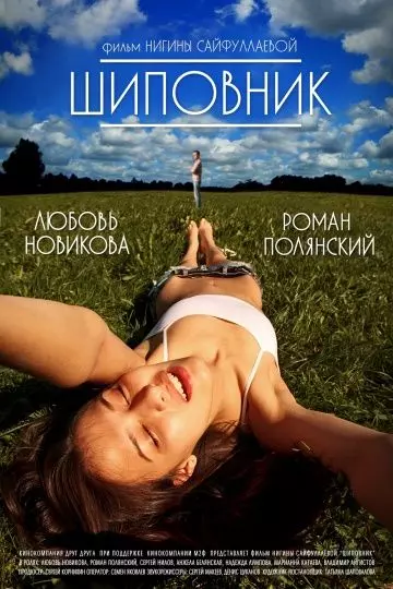 Шиповник 2011 скачать через торрент в хорошем качестве