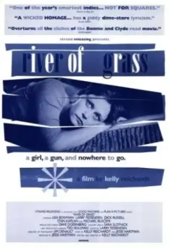 Болотистая река / River of Grass 1994 скачать через торрент в хорошем качестве