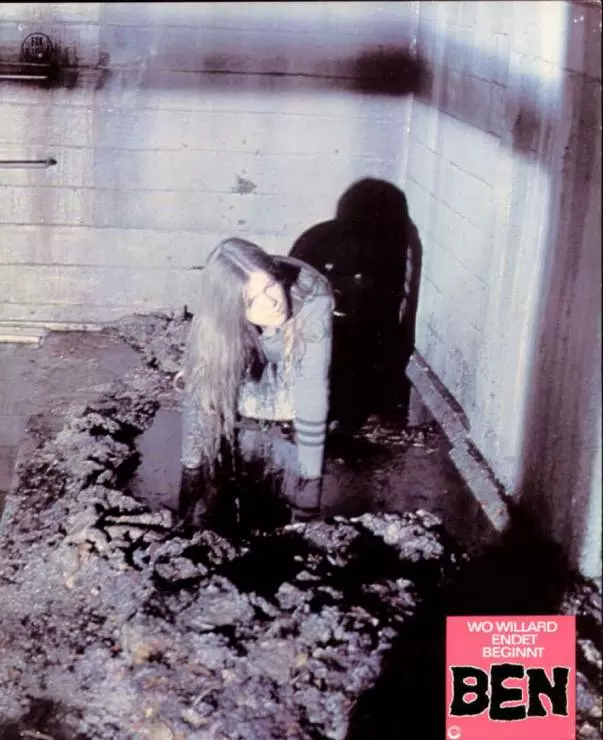 Бен 1972 скачать через торрент бесплатно Бен 1972 скачать через торрент бесплатно