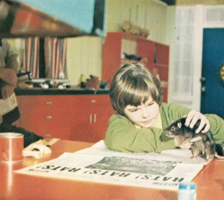 Бен 1972 скачать торрентом Бен 1972 скачать торрентом